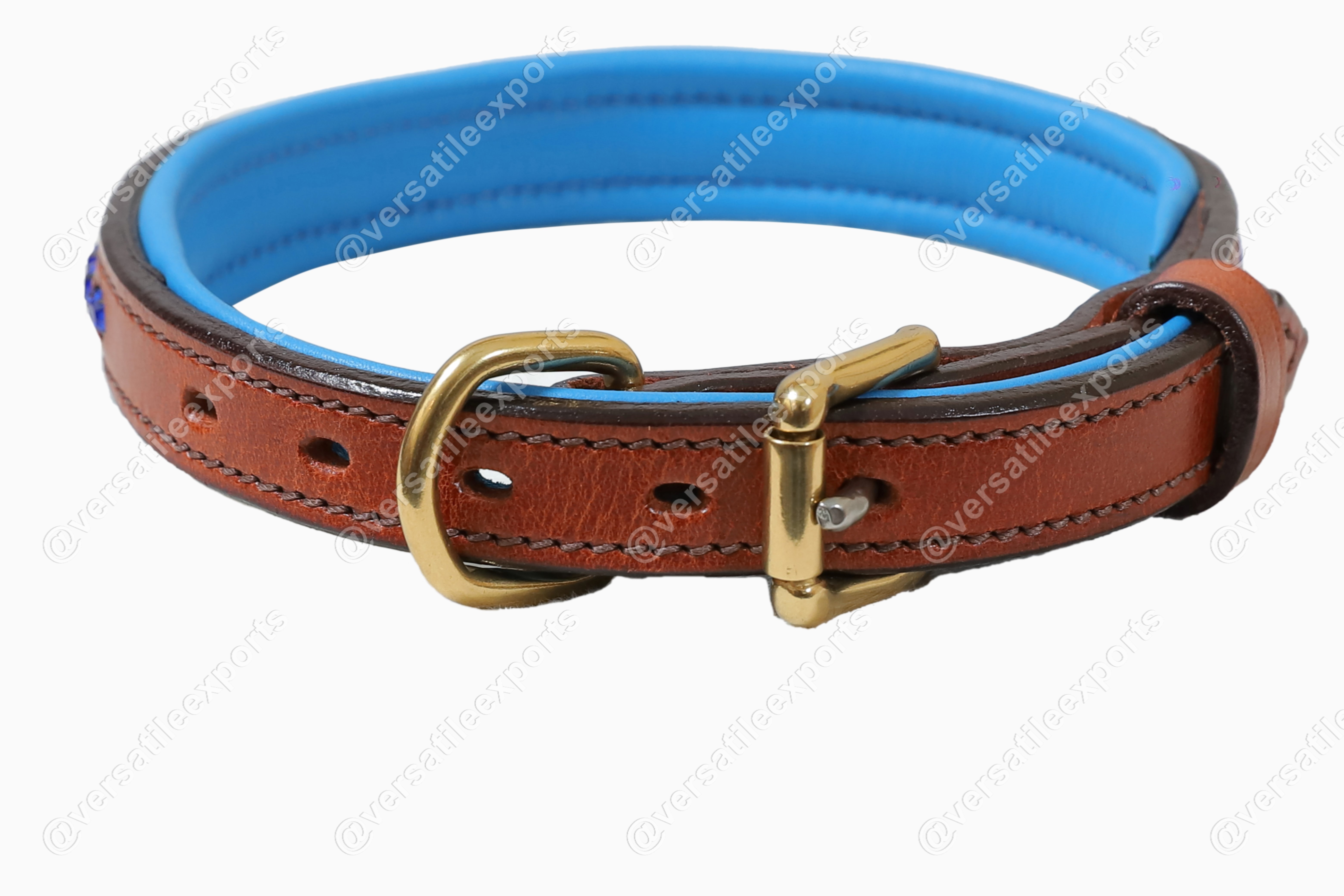 Dog Collars Shiny
